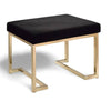 Another image of ACME Furniture Boice Ottoman (96597). This table is available in Coffee Table Mart with Free Shipping.